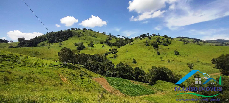 Imagem Chácara à Venda, 24 m² em Centro - Paraisópolis Imagem Chácara à Venda, 24 m² em Centro - Paraisópolis
