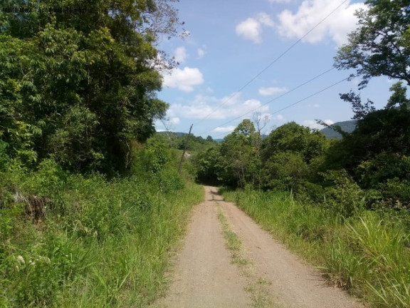 Imagem Terreno à Venda, 3 m² em Linha Pirajá Baixa - Nova Petrópolis