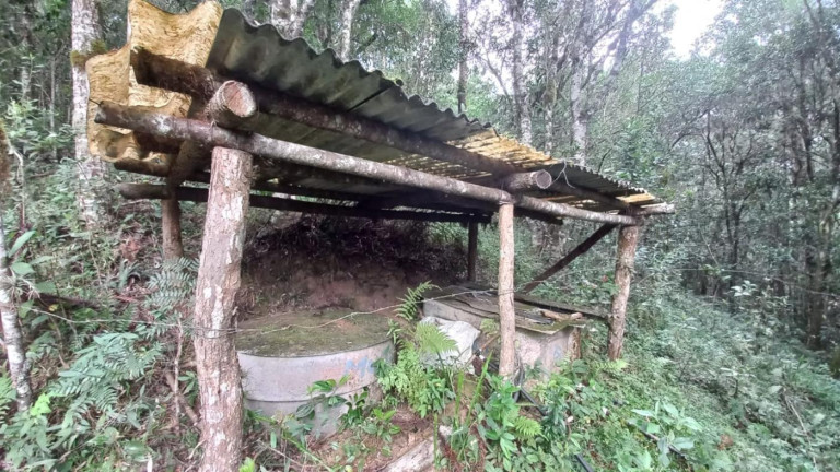 Imagem Imóvel com 3 Quartos à Venda, 11 m² em Olaria - Bocaiúva Do Sul