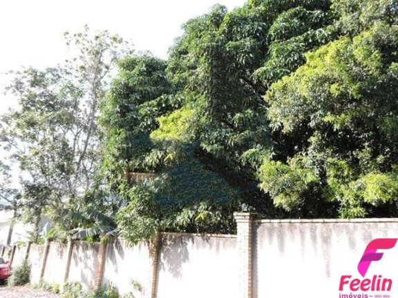 Imagem Terreno à Venda, 799 m² em Rio Tavares - Florianópolis Imagem Terreno à Venda, 799 m² em Rio Tavares - Florianópolis