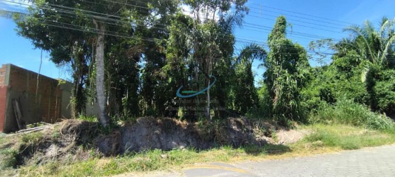 Terreno à Venda, 490 m² em Jardim Das Gaivotas - Caraguatatuba