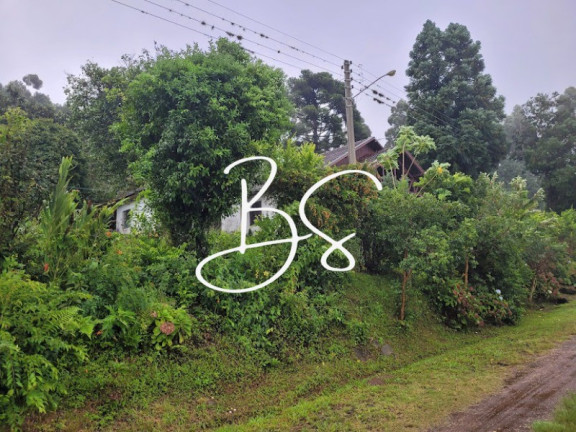 Imagem Imóvel com 2 Quartos à Venda, 37.632 m² em Nova Aurora - Igrejinha