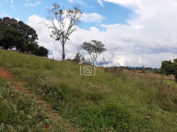 Imagem Imóvel à Venda, 30.000 m² em Conceição (rural) - Palmeiral Imagem Imóvel à Venda, 30.000 m² em Conceição (rural) - Palmeiral