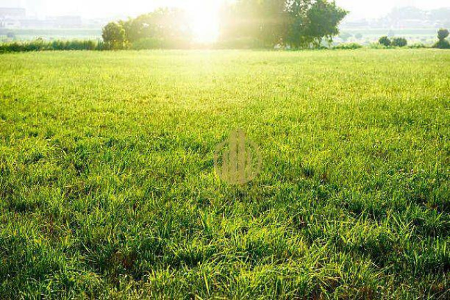 Terreno à Venda, 250 m² em Recreio Anhangüera - Ribeirão Preto