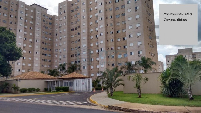Imagem Apartamento com 2 Quartos à Venda, 46 m² em Campos Eliseos - Ribeirão Preto Imagem Apartamento com 2 Quartos à Venda, 46 m² em Campos Eliseos - Ribeirão Preto