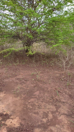 Imagem Chácara à Venda, 47 m² em Montes Claros Imagem Chácara à Venda, 47 m² em Montes Claros