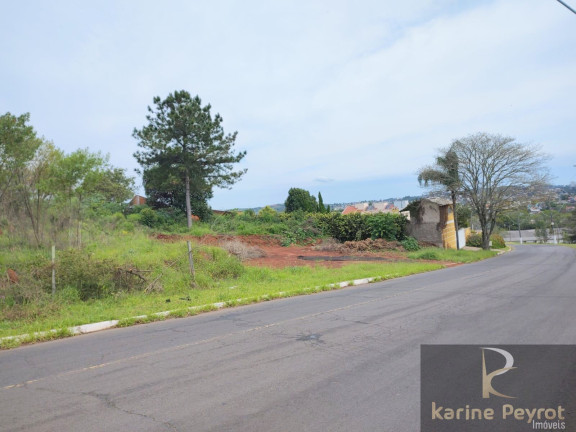 Imagem Terreno à Venda, 785 m² em Campestre - São Leopoldo Imagem Terreno à Venda, 785 m² em Campestre - São Leopoldo