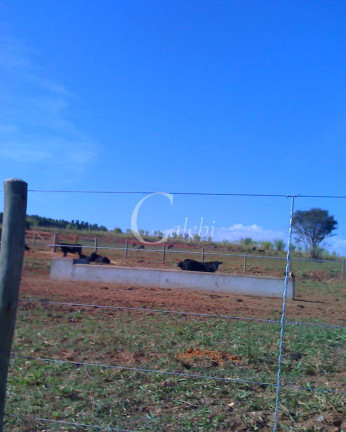 Imagem Chácara com 3 Quartos à Venda, 26 m² em Rural - Nova Resende