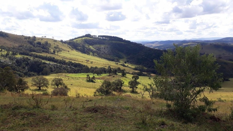 Imagem Fazenda à Venda, 100 m² em Zona Rural - Aiuruoca