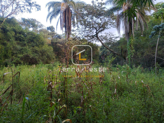 Imagem Terreno à Venda, 4.500 m² em Piedade Do Paraopeba - Brumadinho Imagem Terreno à Venda, 4.500 m² em Piedade Do Paraopeba - Brumadinho