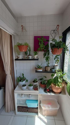 Imagem Apartamento com 3 Quartos à Venda, 77 m² em Rosarinho - Recife