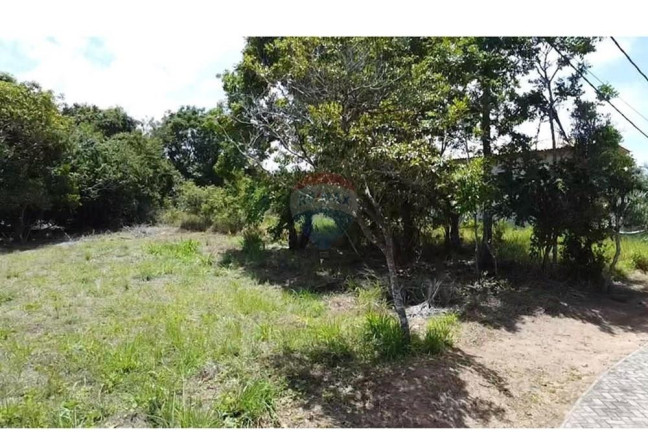 Imagem Terreno à Venda, 450 m² em Vila Comercial Dendezeiros - Mata De São João Imagem Terreno à Venda, 450 m² em Vila Comercial Dendezeiros - Mata De São João
