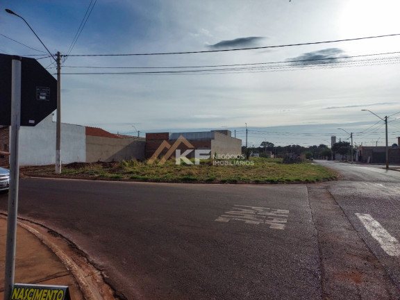 Imagem Terreno à Venda, 203 m² em Jardim Aliança - Cravinhos