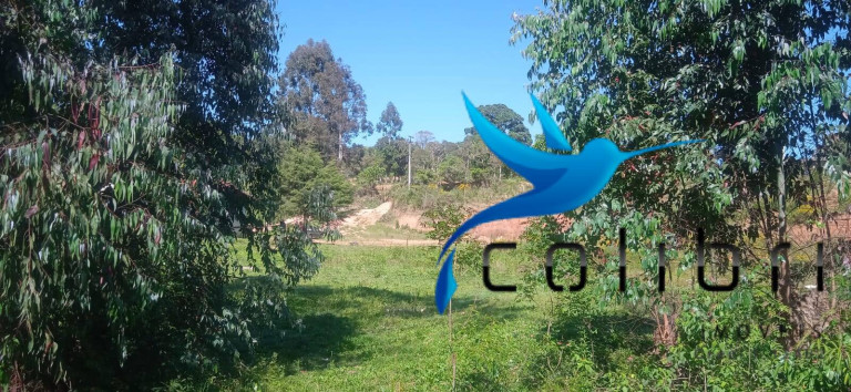 Imagem Chácara com 3 Quartos à Venda, 10.300 m² em Agua Clara - Quitandinha