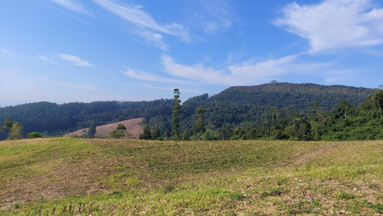 Imagem Terreno à Venda, 198.000 m² em Zona Rural - Presidente Nereu Imagem Terreno à Venda, 198.000 m² em Zona Rural - Presidente Nereu