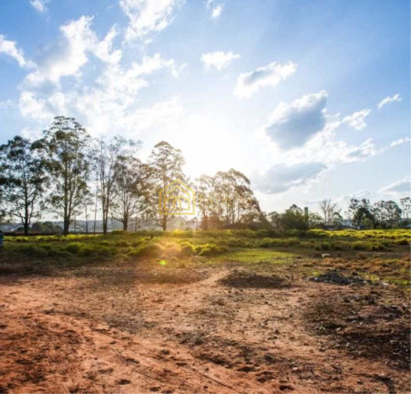 Imagem Terreno à Venda ou Locação, 28.000 m² em Cooperativa - São Bernardo Do Campo