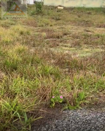 Imagem Terreno à Venda, 900 m² em Barra Nova - Saquarema