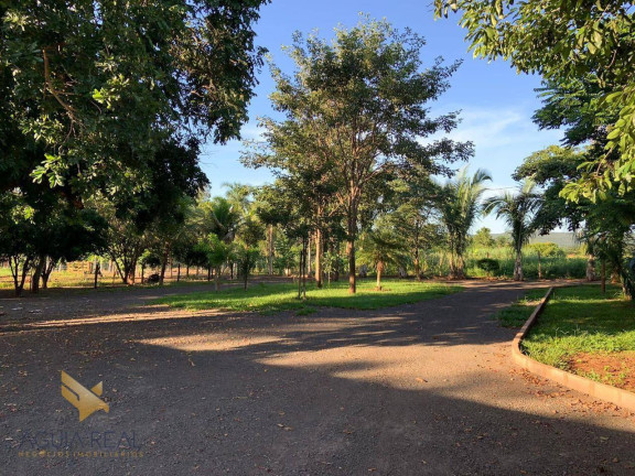 Imagem Chácara com 4 Quartos à Venda, 70.000 m² em Parque Fazenda Imbirussu - Campo Grande Imagem Chácara com 4 Quartos à Venda, 70.000 m² em Parque Fazenda Imbirussu - Campo Grande