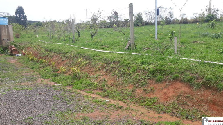 Imagem Imóvel com 2 Quartos à Venda, 95 m² em Zona Rural - Sentinela Do Sul Imagem Imóvel com 2 Quartos à Venda, 95 m² em Zona Rural - Sentinela Do Sul