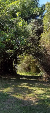 Chácara à Venda, 20.000 m² em Itapuã - Viamão