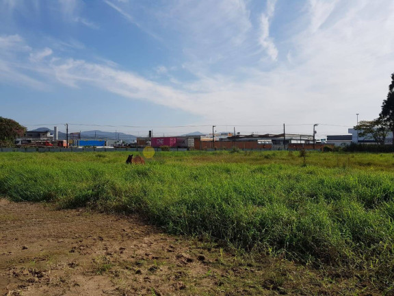 Imagem Terreno à Venda, 7.709 m² em Salseiros - Itajaí Imagem Terreno à Venda, 7.709 m² em Salseiros - Itajaí