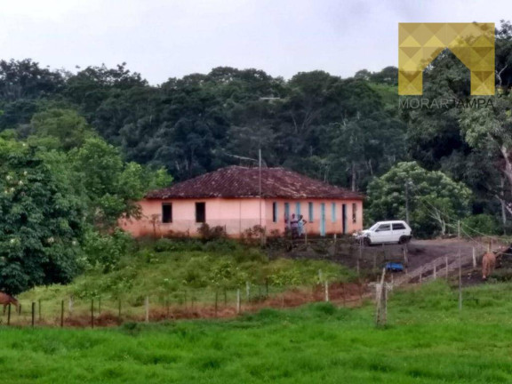 Imagem Fazenda à Venda, 98 m² em Centro - Barro Preto Imagem Fazenda à Venda, 98 m² em Centro - Barro Preto