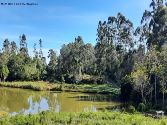 Imagem Terreno à Venda, 1 m² em Br 116 - Nova Petrópolis Imagem Terreno à Venda, 1 m² em Br 116 - Nova Petrópolis