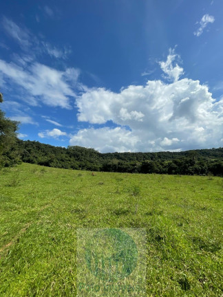Imagem Imóvel com 2 Quartos à Venda, 6 m² em Rural - São Sebastião Do Paraíso Imagem Imóvel com 2 Quartos à Venda, 6 m² em Rural - São Sebastião Do Paraíso