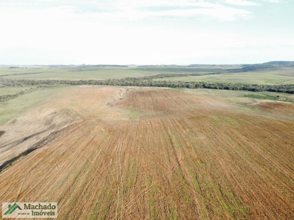 Imagem Imóvel à Venda, 1.390.000 m² em Rural - Rosário Do Sul