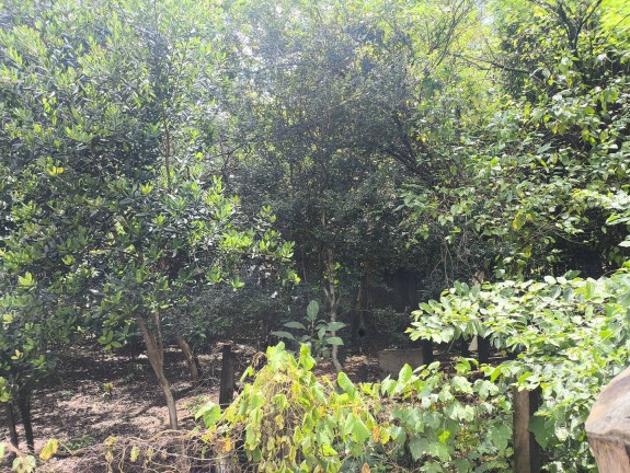 Imagem Chácara com 1 Quarto à Venda, 6 m² em Jundiaquara - Araçoiaba Da Serra Imagem Chácara com 1 Quarto à Venda, 6 m² em Jundiaquara - Araçoiaba Da Serra
