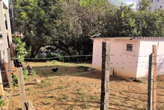 Imagem Terreno à Venda, 729 m² em Fazenda Morumbi - São Paulo Imagem Terreno à Venda, 729 m² em Fazenda Morumbi - São Paulo
