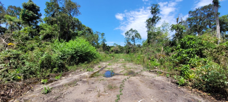Terreno à Venda, 768 m² em Praia Das Palmeiras - Itapoá