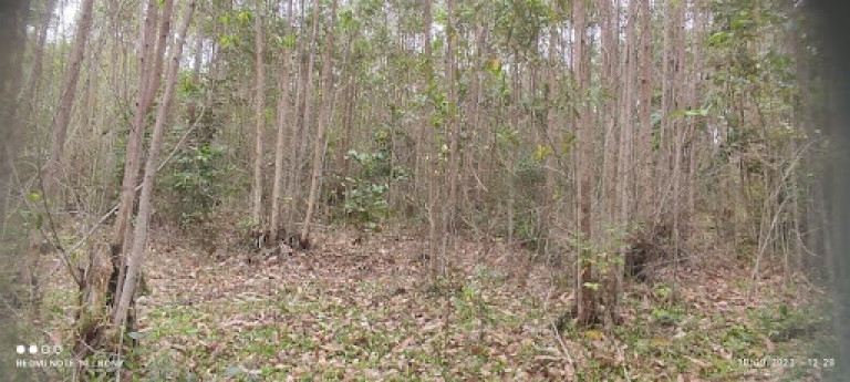 Imagem Chácara com 2 Quartos à Venda, 150 m² em Centro - Paraibuna Imagem Chácara com 2 Quartos à Venda, 150 m² em Centro - Paraibuna