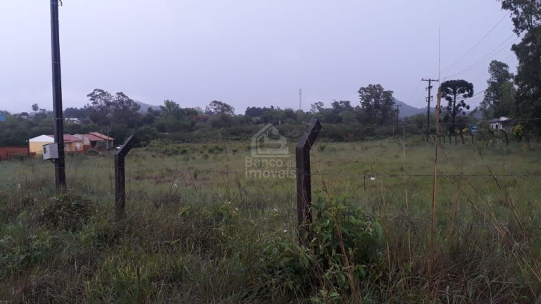 Imagem Terreno à Venda, 400 m² em Diácono João Luiz Pozzobon - Santa Maria Imagem Terreno à Venda, 400 m² em Diácono João Luiz Pozzobon - Santa Maria