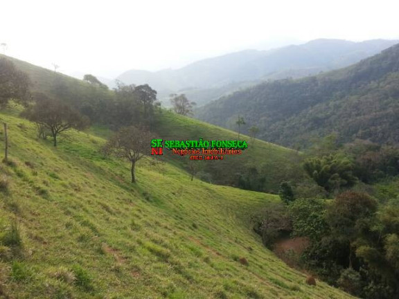 Imagem Chácara à Venda, 20.000 m² em São Francisco Xavier - São José Dos Campos Imagem Chácara à Venda, 20.000 m² em São Francisco Xavier - São José Dos Campos