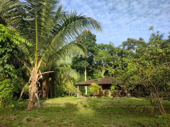 Fazenda à Venda,  em Marapanim