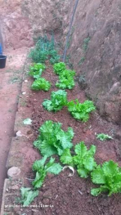 Imagem Chácara à Venda, em Consultar - Ibiúna Imagem Chácara à Venda, em Consultar - Ibiúna