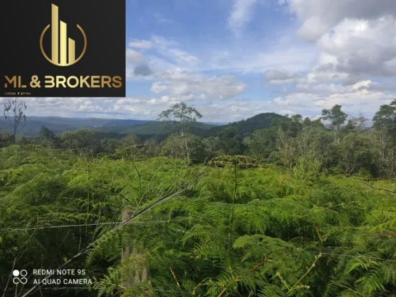 Imóvel à Venda, 20.000 m² em Sao Silvestre - Campo Largo