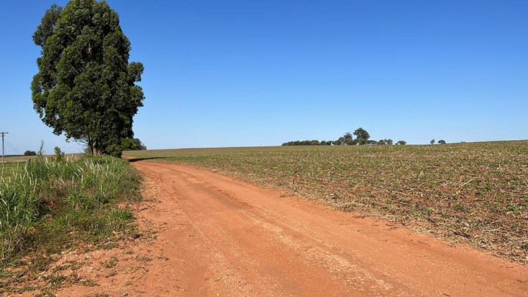 Imagem Fazenda à Venda, 95 m² em Rural - Paranapanema Imagem Fazenda à Venda, 95 m² em Rural - Paranapanema