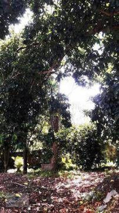 Imagem Terreno à Venda, 1.100 m² em Colônia - Ribeirão Pires Imagem Terreno à Venda, 1.100 m² em Colônia - Ribeirão Pires
