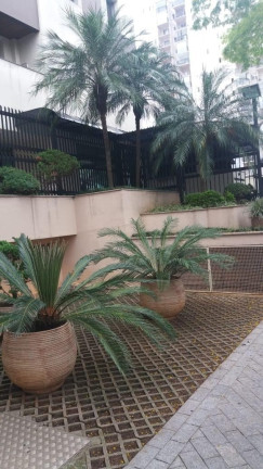 Imagem Apartamento com 2 Quartos à Venda, 51 m² em Vila Antonieta - São Paulo Imagem Apartamento com 2 Quartos à Venda, 51 m² em Vila Antonieta - São Paulo