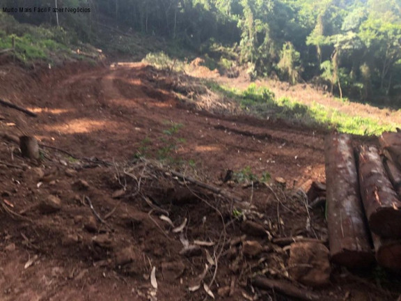 Imagem Terreno à Venda, 3 m² em Linha Olinda - Nova Petrópolis Imagem Terreno à Venda, 3 m² em Linha Olinda - Nova Petrópolis