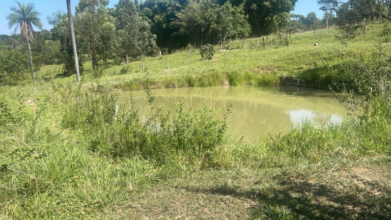 Imagem Imóvel com 3 Quartos à Venda, 45.000 m² em Rio Verde - Bauru