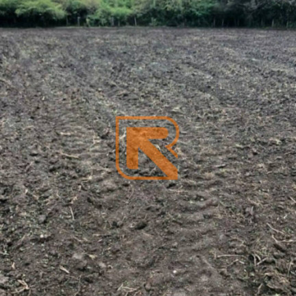 Imagem Fazenda à Venda, 1.030.000 m² em Distrito Jk - Formosa Imagem Fazenda à Venda, 1.030.000 m² em Distrito Jk - Formosa