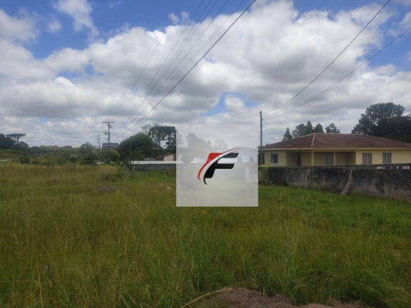 Terreno à Venda, 44.162 m² em Lapa - Mariental