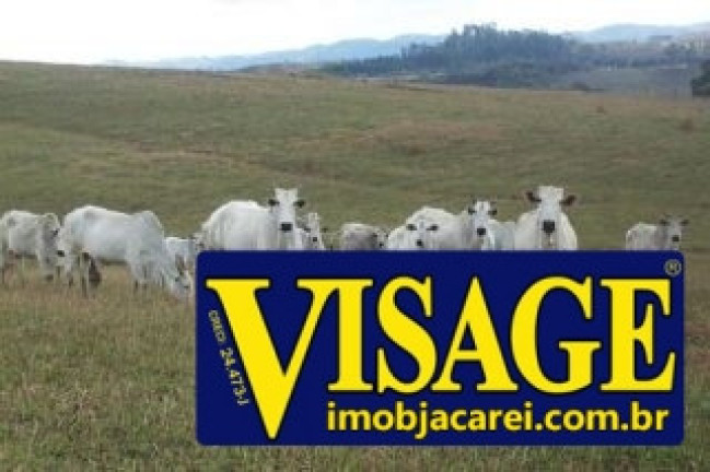 Imagem Fazenda à Venda, em Sao Silvestre - Jacareí Imagem Fazenda à Venda, em Sao Silvestre - Jacareí