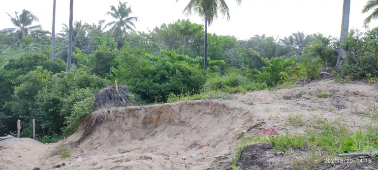 Imagem Terreno à Venda, 420 m² em Barra Do Jacuípe - Camaçari Imagem Terreno à Venda, 420 m² em Barra Do Jacuípe - Camaçari