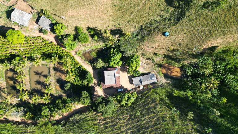 Imagem Chácara com 4 Quartos à Venda, 4 m² em Colatina