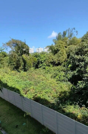 Imagem Apartamento com 2 Quartos à Venda, 38 m² em Narandiba - Salvador