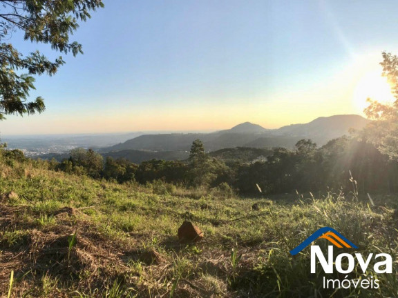 Imagem Imóvel à Venda, 3.502 m² em Linha Gorgen - Morro Reuter Imagem Imóvel à Venda, 3.502 m² em Linha Gorgen - Morro Reuter